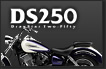 DS250